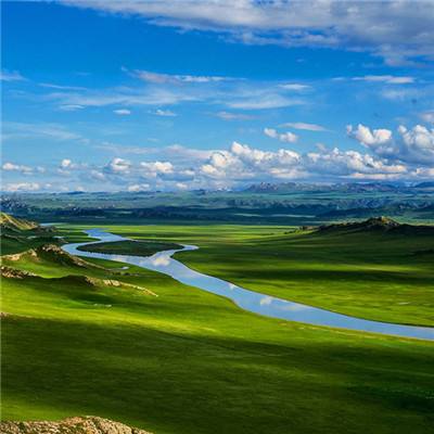 河北衡水湖：多国生态专家考察 献策生态保护发展